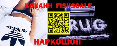 PSILOCYBIN Гатчина