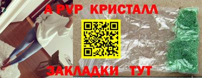 PSILOCYBIN Гатчина